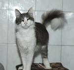     
: lzTc5nv3QFg.jpg
: 7
:	81.7 
ID:	9830439
