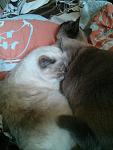     
: IMG_20150513_123332.jpg
: 12
:	90.0 
ID:	9832598