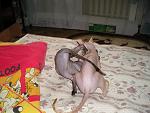     
: P1010159.jpg
: 41
:	165.6 
ID:	983424