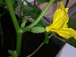     
: 20150513_183833.jpg
: 10
:	114.4 
ID:	9834984