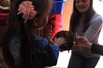     
: IMG_1869.jpg
: 41
:	66.0 
ID:	9839055