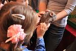     
: IMG_1872.jpg
: 37
:	104.7 
ID:	9839058