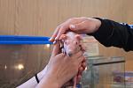     
: IMG_1874.jpg
: 36
:	65.9 
ID:	9839060