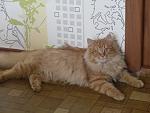     
: Маргосик.jpg
: 13
:	120.1 
ID:	9841735