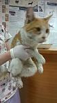     
: WP_20150515_001.jpg
: 25
:	61.2 
ID:	9842875