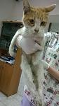     
: WP_20150515_002.jpg
: 30
:	64.4 
ID:	9842876
