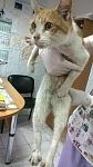     
: WP_20150515_003.jpg
: 16
:	79.7 
ID:	9843045