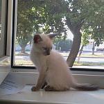     
: 2014-07-13 07.38.41-1.jpg
: 6
:	41.5 
ID:	9843831