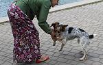     
: opSl7kJy2WU.jpg
: 9
:	72.3 
ID:	9844275