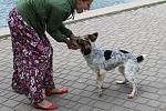     
: XTa5HwpTcUU.jpg
: 9
:	75.6 
ID:	9844276