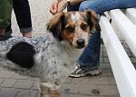     
: 7RpANRGNk5I.jpg
: 12
:	53.3 
ID:	9844277