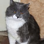     
: oyWmkvbpQI0.jpg
: 10
:	71.1 
ID:	9844313