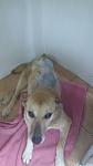     
: 20150515_202729.jpg
: 17
:	46.0 
ID:	9844410