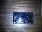     
: DSC00037.jpg
: 12
:	183.7 
ID:	9845661