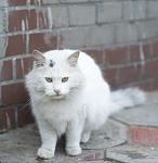     
: zu8KaABFAqw.jpg
: 6
:	102.8 
ID:	9846630