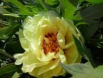     
: 2015-05-16 14.50.51.jpg
: 8
:	103.0 
ID:	9848158