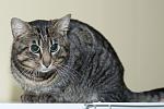     
: 1BLA_n1A2G8.jpg
: 11
:	147.7 
ID:	9848512