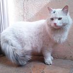     
: IyjgGtQGWBU.jpg
: 7
:	113.4 
ID:	9848574