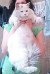     
: K2jj_sgsL9w.jpg
: 7
:	60.6 
ID:	9848575