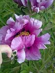     
: 090520151157.jpg
: 7
:	106.9 
ID:	9848621