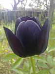     
: 090520151151.jpg
: 8
:	64.5 
ID:	9848625
