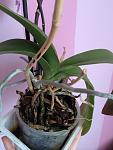     
: ImageUploadedByTapatalk1431855779.944108.jpg
: 44
:	228.2 
ID:	9849709