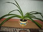     
: IMG_8924.jpg
: 49
:	173.4 
ID:	9855143