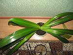     
: IMG_8927.jpg
: 36
:	174.2 
ID:	9855150