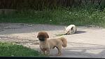     
: 20150518_171946.jpg
: 18
:	126.1 
ID:	9856091