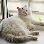     
: M4iZ4DwwK7g.jpg
: 5
:	67.0 
ID:	9857227