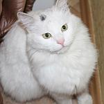     
: G-mLduWwhGs.jpg
: 5
:	47.5 
ID:	9857228