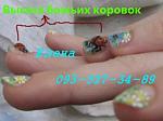     
: IMG_1550 жидкие камни.JPG
: 46
:	28.4 
ID:	9857959