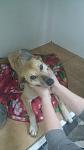     
: 20150519_201142.jpg
: 10
:	44.7 
ID:	9863119