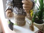     
: IMG_5137.jpg
: 18
:	156.5 
ID:	9864111