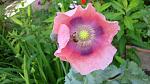     
: DSC05302.JPG
: 5
:	181.3 
ID:	9868865