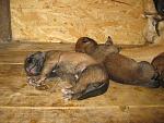     
: IMG_4963.jpg
: 14
:	178.4 
ID:	9871165