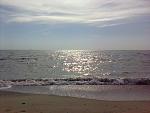     
: IMG_20150522_084434.jpg
: 34
:	118.9 
ID:	9874264
