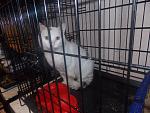     
: DSCN4344.jpg
: 11
:	156.9 
ID:	9878307