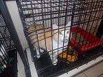    
: DSCN4343.jpg
: 13
:	176.8 
ID:	9878308