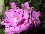     
: DSCF8381.JPG
: 48
:	113.2 
ID:	987861