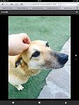     
: image.jpg
: 3
:	204.5 
ID:	9879133