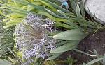     
: 20150523_195849.jpg
: 9
:	179.3 
ID:	9879150