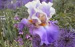     
: 20150517_151546.jpg
: 10
:	160.4 
ID:	9879161