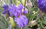     
: 20150517_151625.jpg
: 14
:	128.0 
ID:	9879166