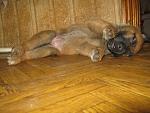     
: IMG_4101.jpg
: 10
:	149.4 
ID:	9879169