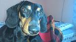     
: nZZGdQb7nT8.jpg
: 89
:	41.7 
ID:	9879706