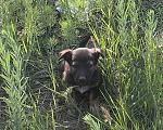     
: IMAG1053_1_1_1.jpg
: 4
:	89.9 
ID:	9880198