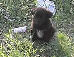     
: IMAG1053_1_1_2.jpg
: 4
:	32.2 
ID:	9880199