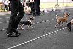     
: DSC_0559.jpg
: 21
:	165.1 
ID:	9880388