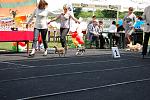     
: DSC_0556.jpg
: 18
:	188.5 
ID:	9880390